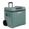 IGLOO IE42 nevera eléctrica para coche y enchufe, 42L, 12V y 230V