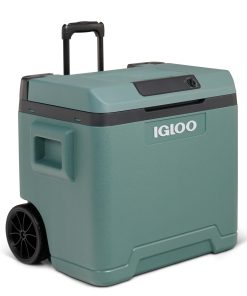 IGLOO IE42 nevera eléctrica para coche y enchufe, 42L, 12V y 230V